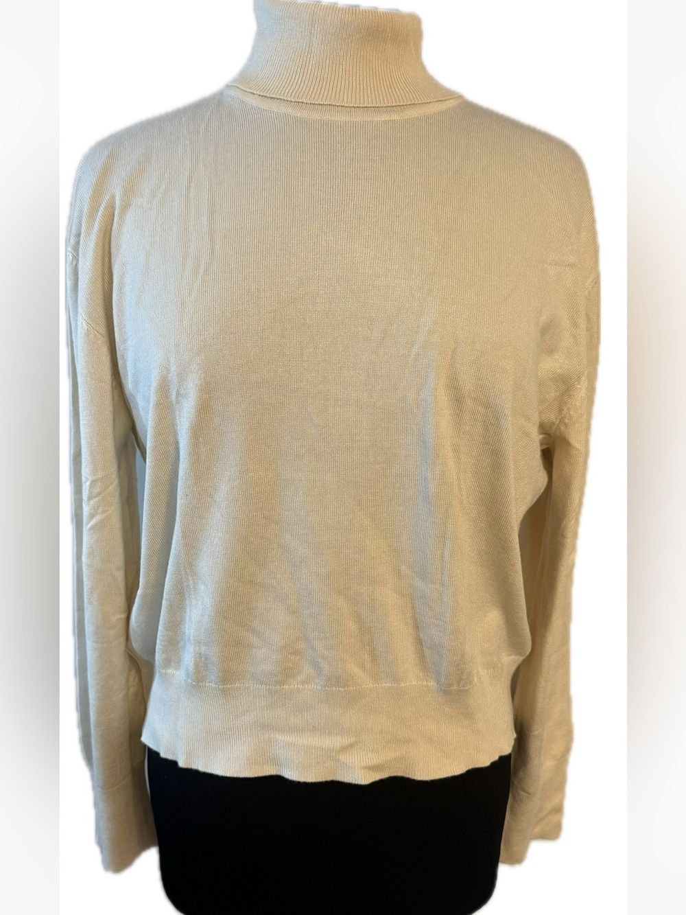 NWT size large Cream Turtleneck Sweater